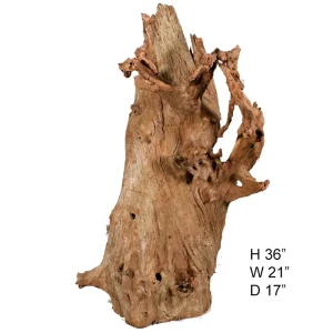 Malaysian Driftwood, Super WYSIWYG 36" x 21"