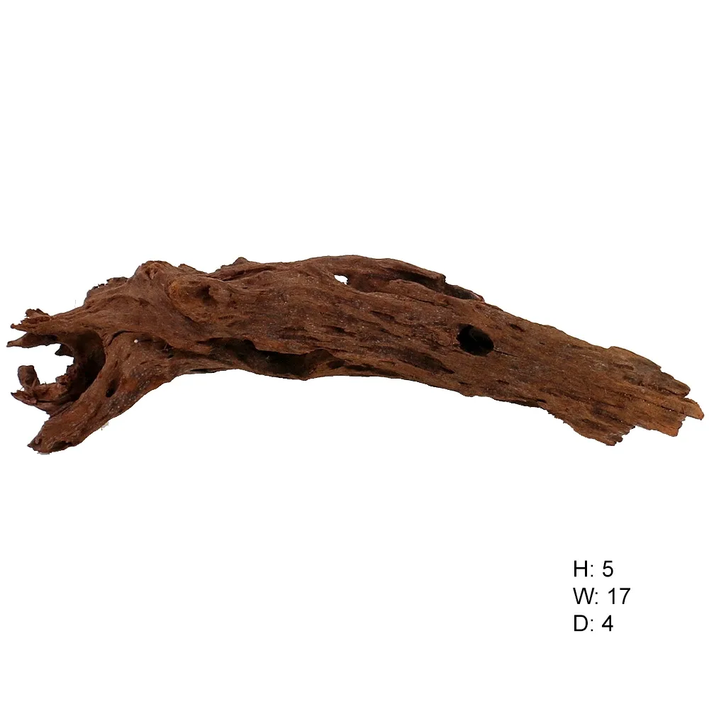 Malaysian Driftwood, Super WYSIWYG 5" x 17"