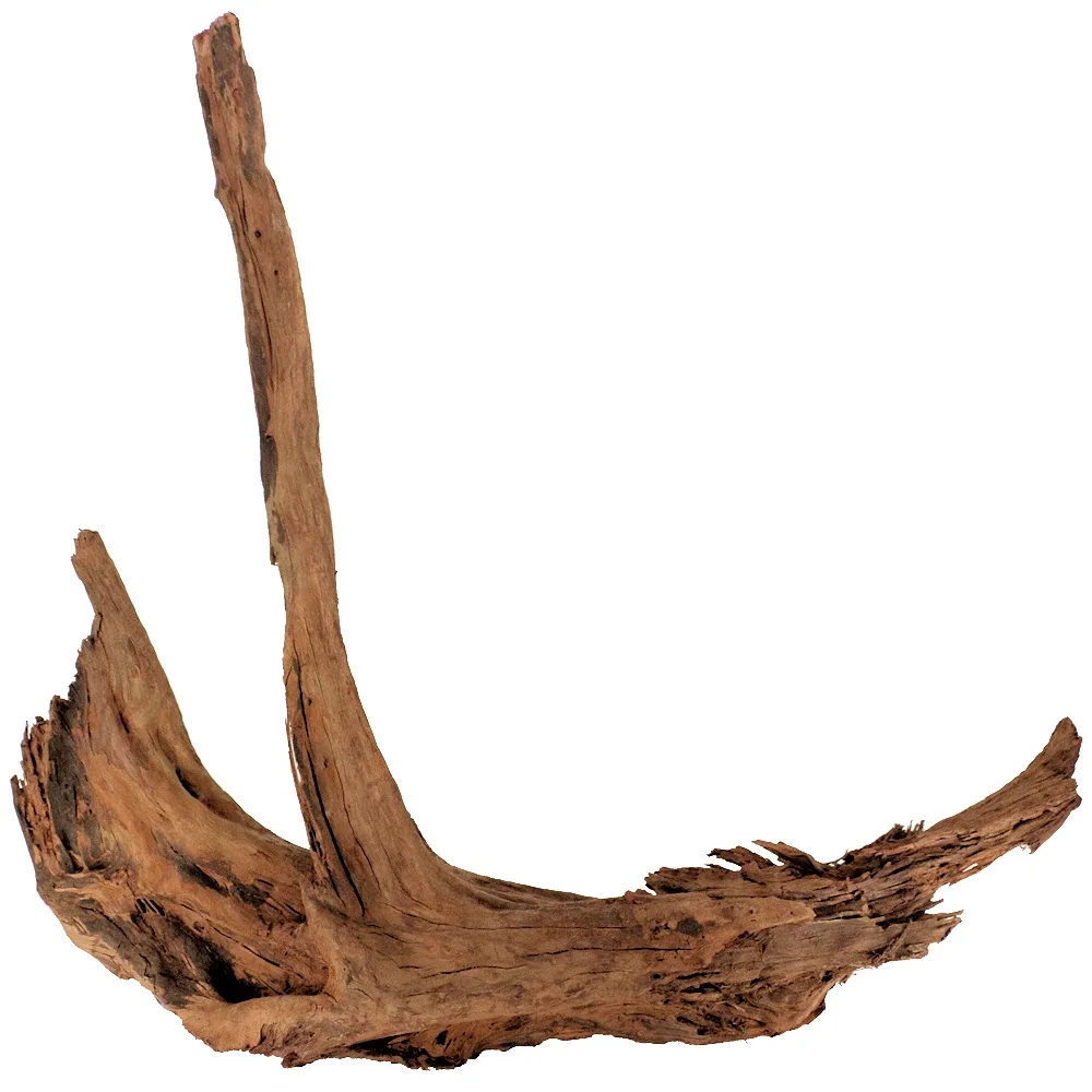 Malaysian Driftwood, XXXL 33" - 50"