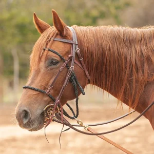 Martin Saddlery Mule Tape Bonnet