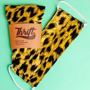 Matching Face Mask & Dog Bandana Set in Electric Leopard(FINAL SALE)