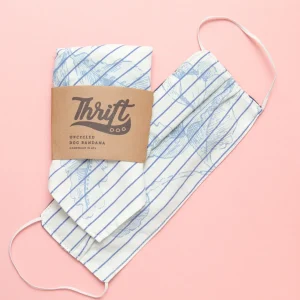 Matching Face Mask & Dog Bandana Set in Floral Stripe (Immediate Ship)