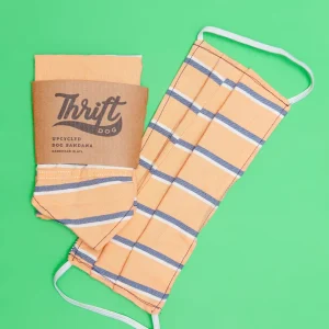 Matching Face Mask & Dog Bandana Set in Preppy Peach & Pinstripe