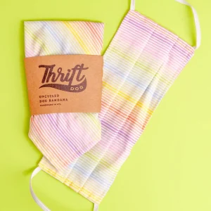 Matching Face Mask & Dog Bandana Set in Sunset Stripe (FINAL SALE)