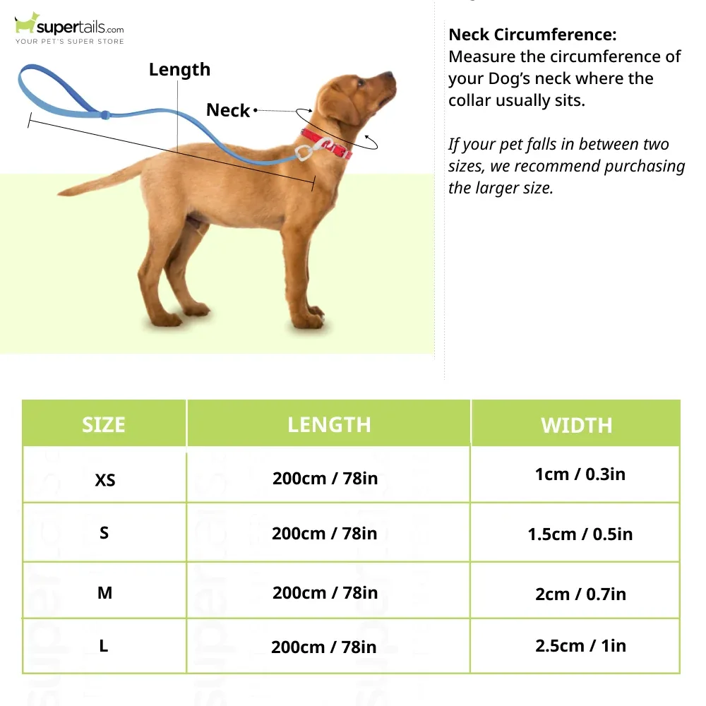 Max & Molly Ducklings Short Leash for Dogs (Blue) - Image 2