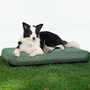 Medium Dog Outdoor Removable And Washable Inflatable Waterproof And Non-slip Dog Bed Summer Pet Travel Mat