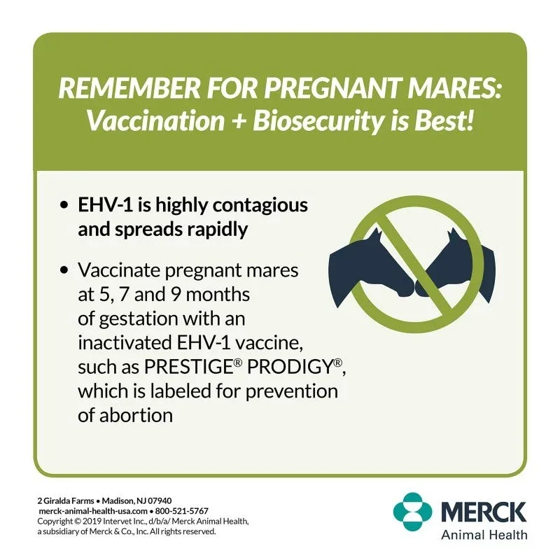 Merck Prestige Prodigy Vaccine Multi Pack 9 Dose - Image 2