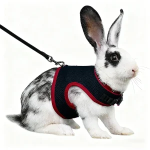 Mesh Breathable Ferret Bunny Harness Leash Set for Small Animals Rabbit Hamsters Summer Walking Pet Lead