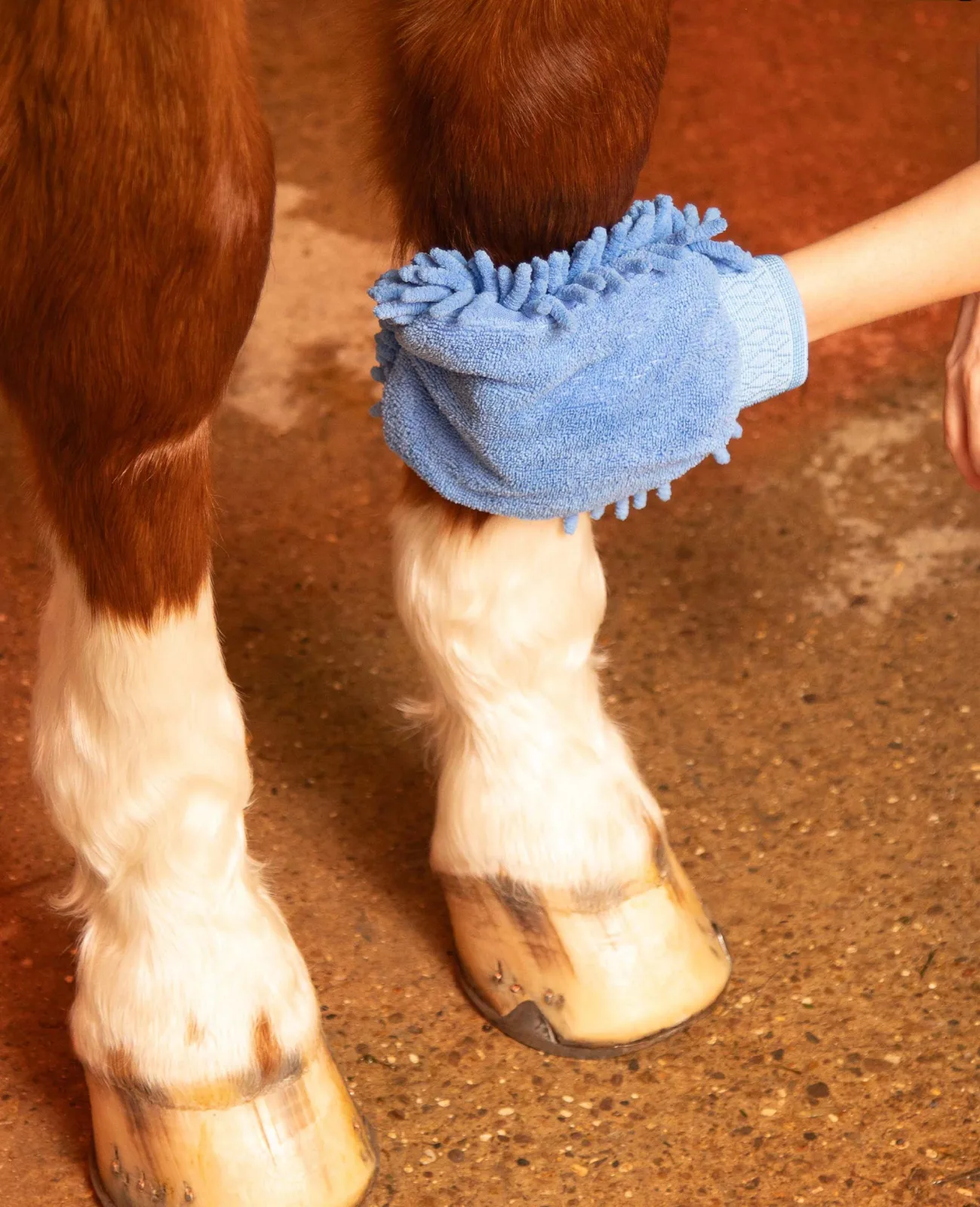 Microfibre Grooming Mitt Fuchsia - Image 2