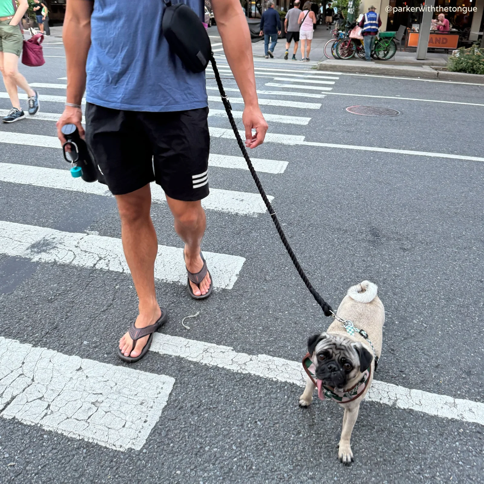 Midnight Hands-Free Rope Leash - Image 2