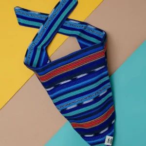 Midnight Train Dog Bandana (FINAL SALE)