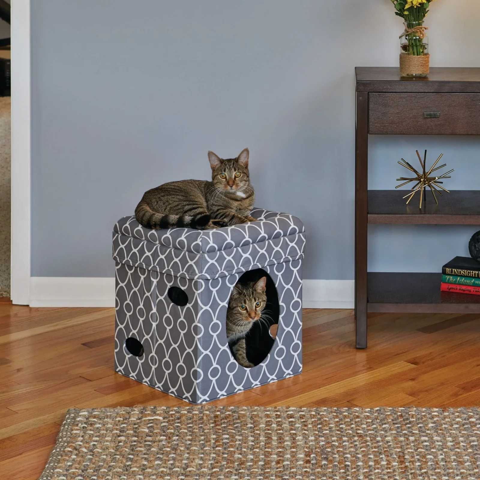 MidWest Curious Cat Cube Gray Geo 15x15 - Image 2
