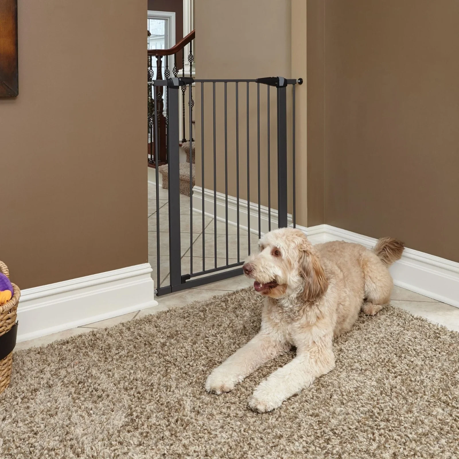 MidWest Steel Pet Gate Graphite 39in - Image 2