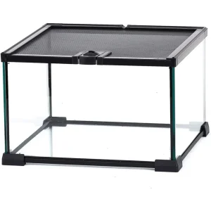 Mini Glass Terrarium with Mesh Top