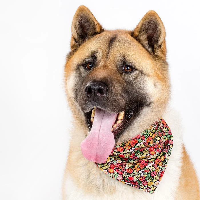 MODERN BEAST | Black Floral Neckwear - Image 2