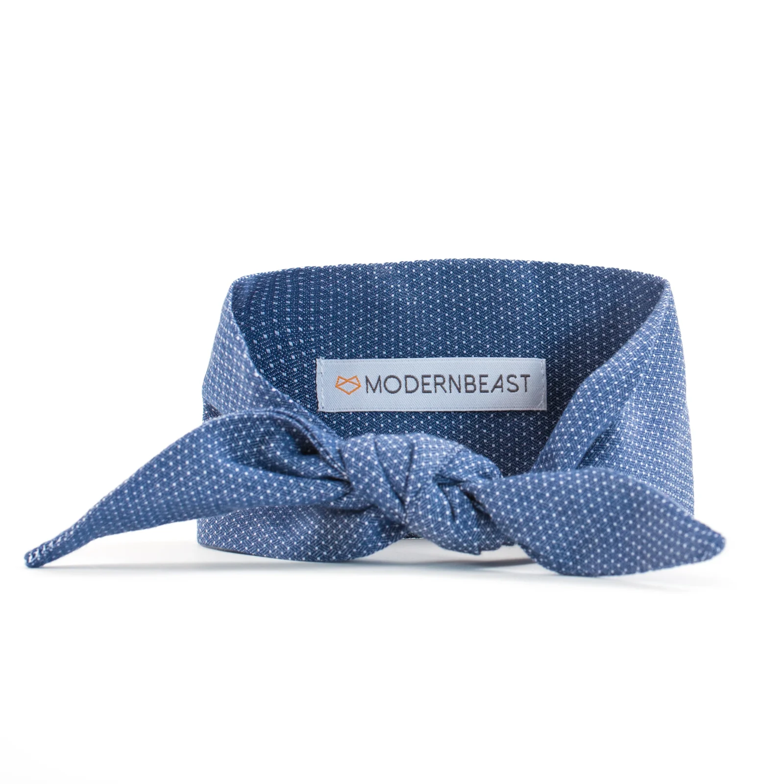 MODERN BEAST | Neck Tie in Petite Polkadot
