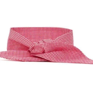 MODERN BEAST | Neck Tie in Red Gingham