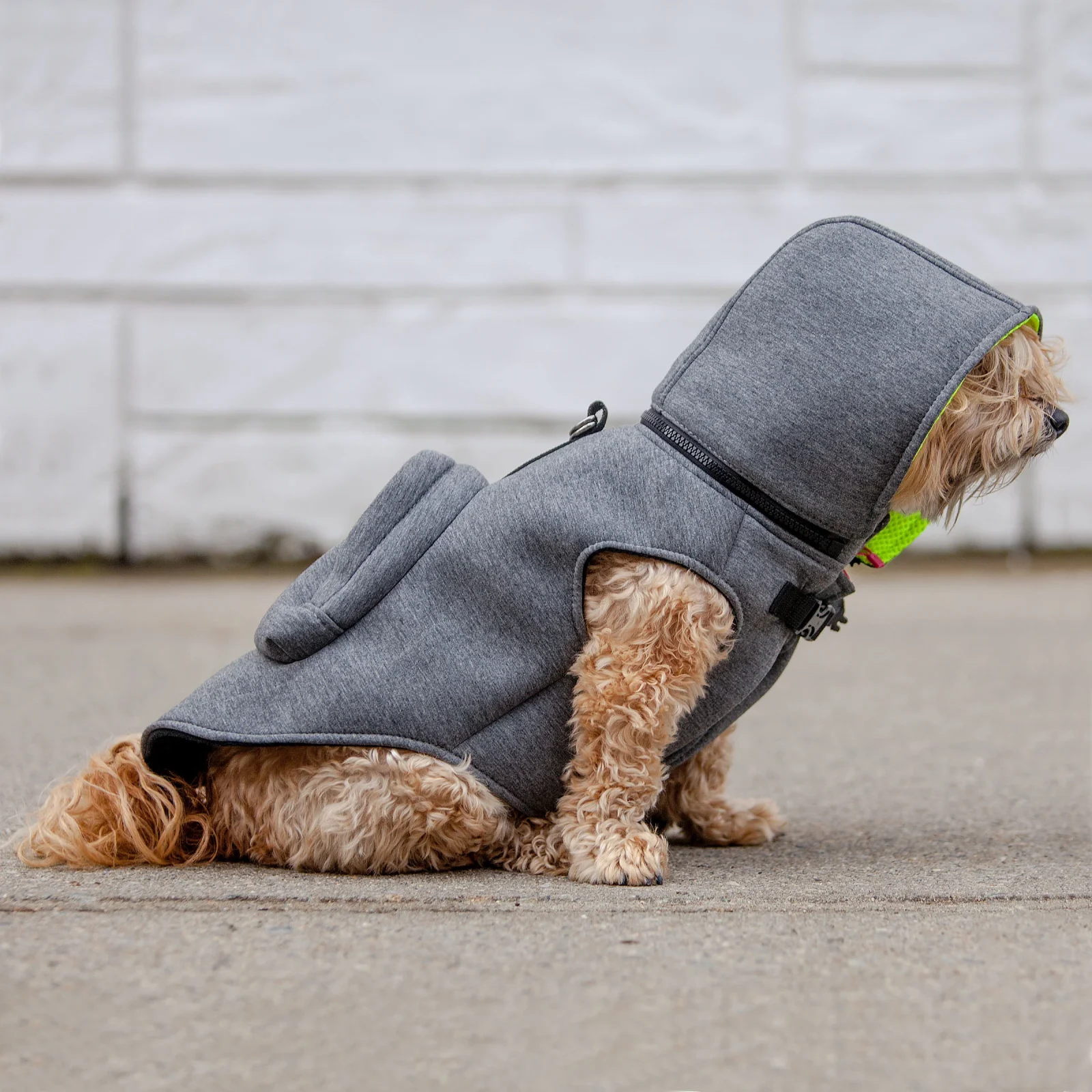 MORIKUKKO | Hoodie Backpack Vest in Grey and Neon