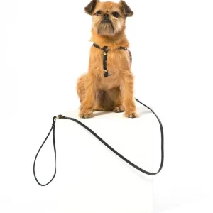MR. DOG | Black Leather Step-In Harness & Leash