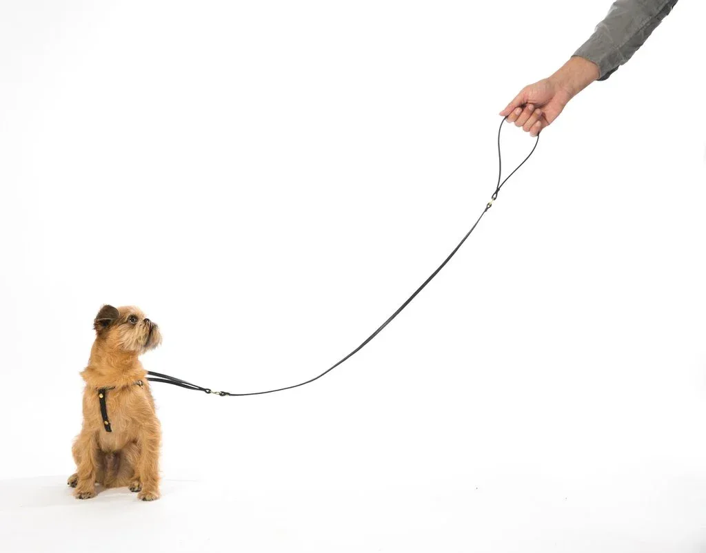 MR. DOG | Black Leather Step-In Harness & Leash - Image 2