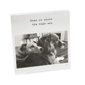 Mud Pie 4x6 Acrylic Dog Bone Frame