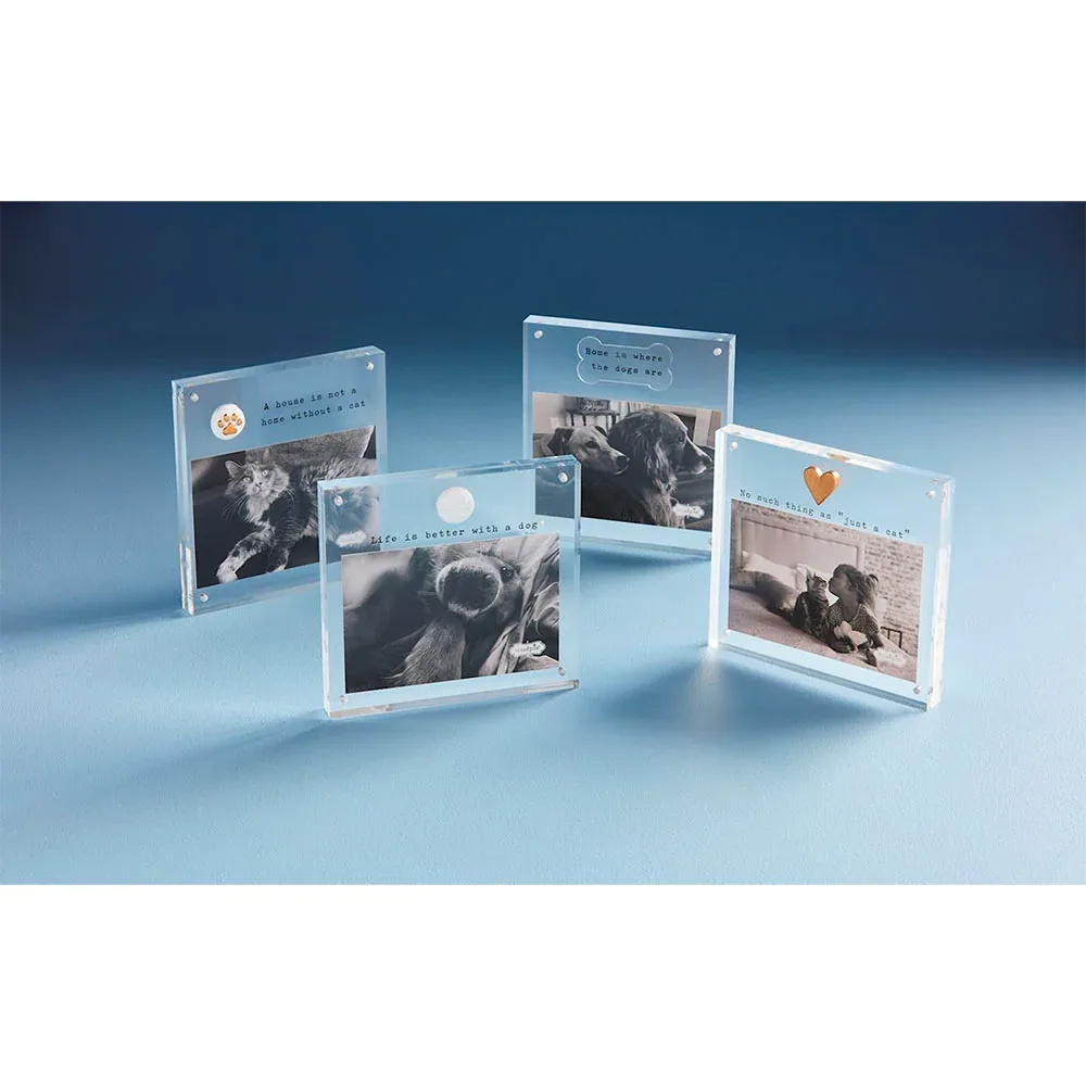 Mud Pie 4x6 Acrylic Dog Paw Frame - Image 2