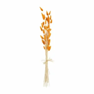 Mud Pie Orange Preserved Bunny Tails