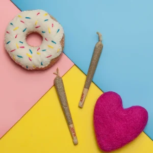 Munchies Kitty Bundle