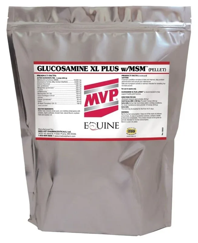 MVP Glucosamine XL Plus MSM