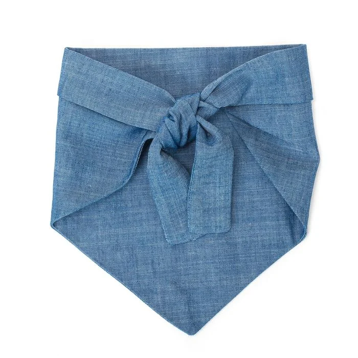 My Dad is Single Chambray Bandana (FINAL SALE) - Image 2