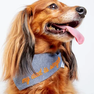 My Dad is Single Chambray Bandana (Made in the USA) (FINAL SALE)