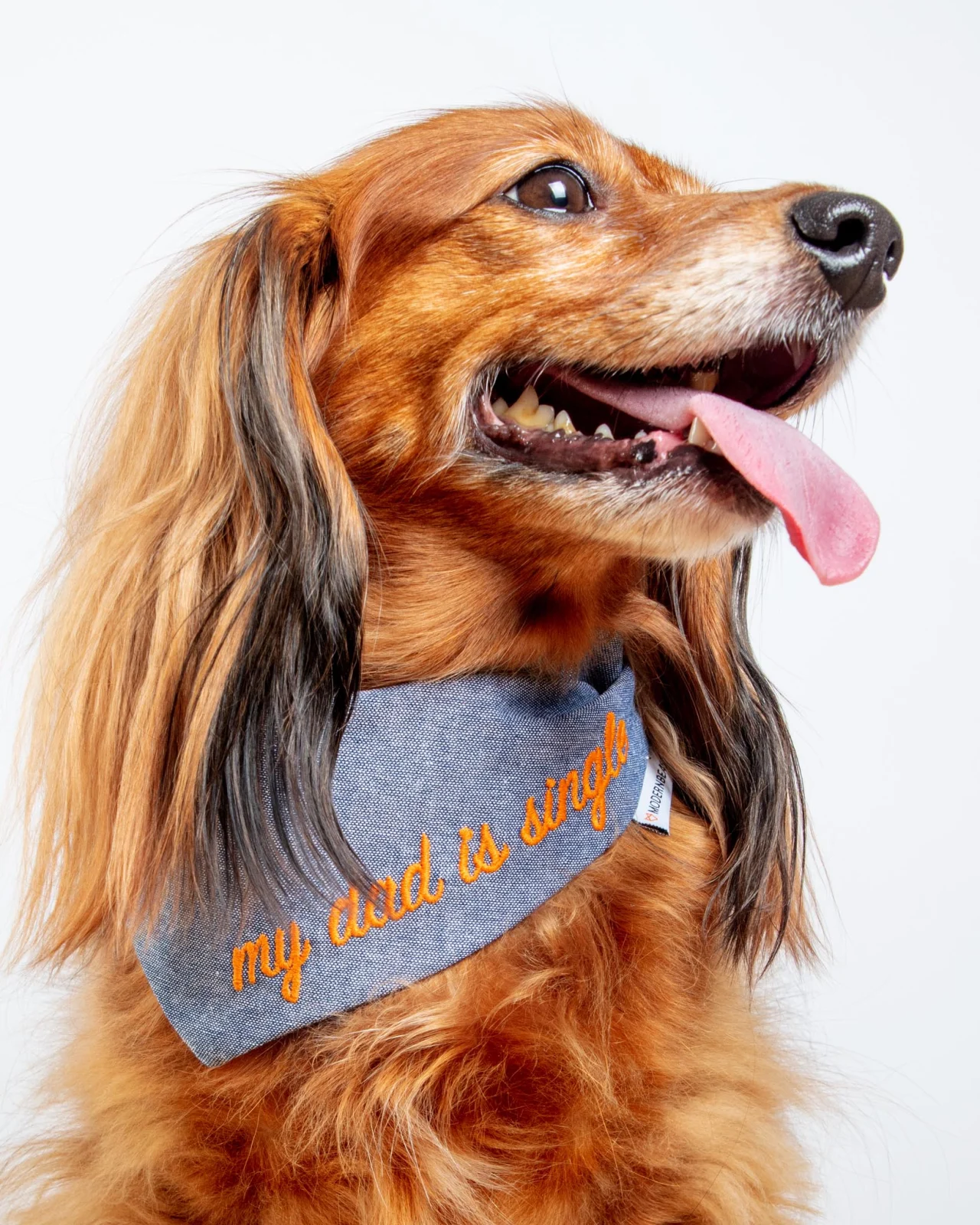 My Dad is Single Chambray Bandana (Made in the USA) (FINAL SALE)