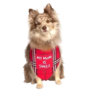 My Mom Is Single Dog Bandana by Dog Fashion Living