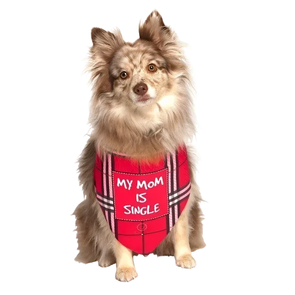 My Mom Is Single Dog Bandana by Dog Fashion Living