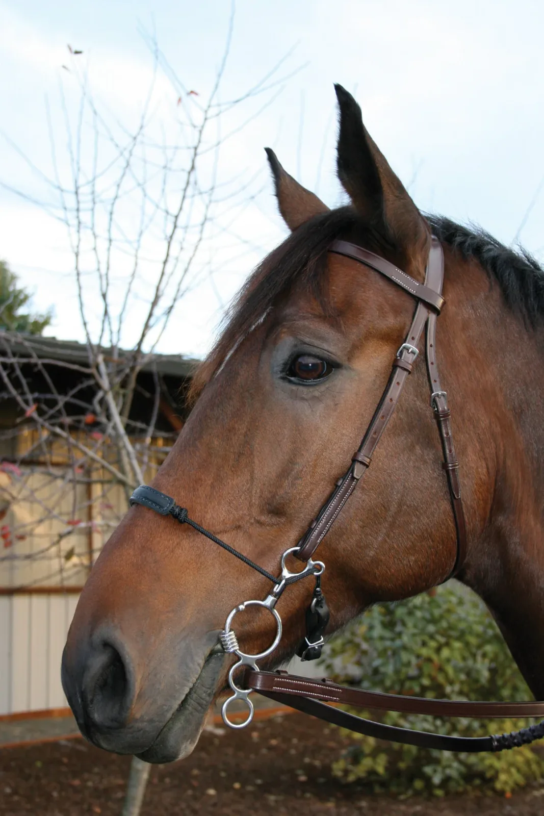 Myler® 3-Ring Combo Low Port Comfort Snaffle MB 04 - Image 2