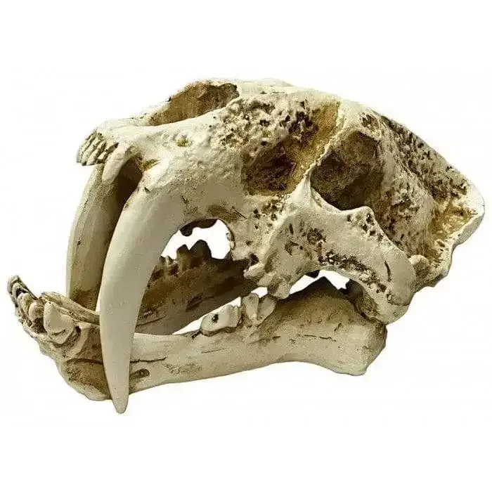Naturalistic Skulls Saber-Tooth Reptile Hideout Terrarium Decor for Pets