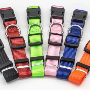 New Pet Collar
