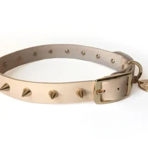 NICE DIGS | Gold Spike Leather Dog Collar