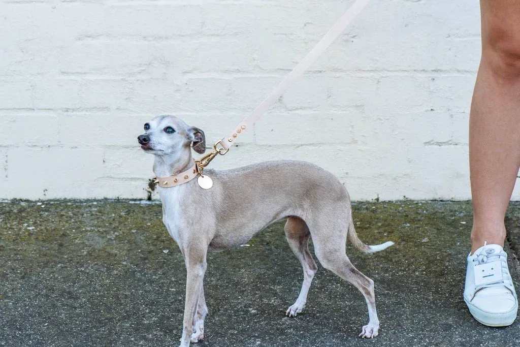 NICE DIGS | Gold Spike Leather Dog Leash - Image 2