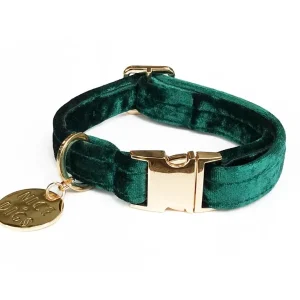 NICE DIGS | Velvet Dog Collar in Jade