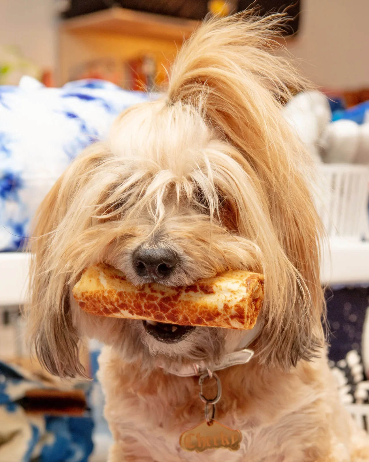 No-Hide Wholesome Dog Chew in Chicken - Image 2