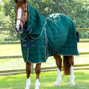NO NECK - Lucanta 200g Stable Rug Green