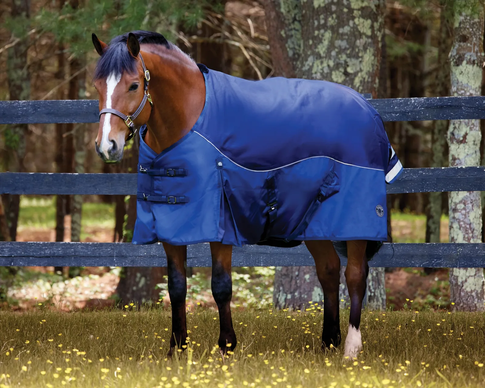NorthWind™ Light-Weight Turnout Blanket with Detachable Neck–100 grams - Image 2