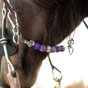 NRS Purple Floral Silicone Beaded Gag Chain Curb Strap