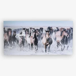 NRS Running Horses in the Water Canvas Wall Art