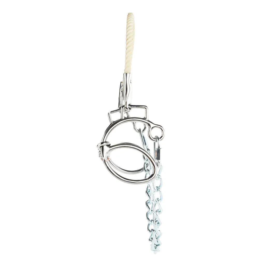 NRS Sweet 6 Dog Bone Combo Bit - Image 2