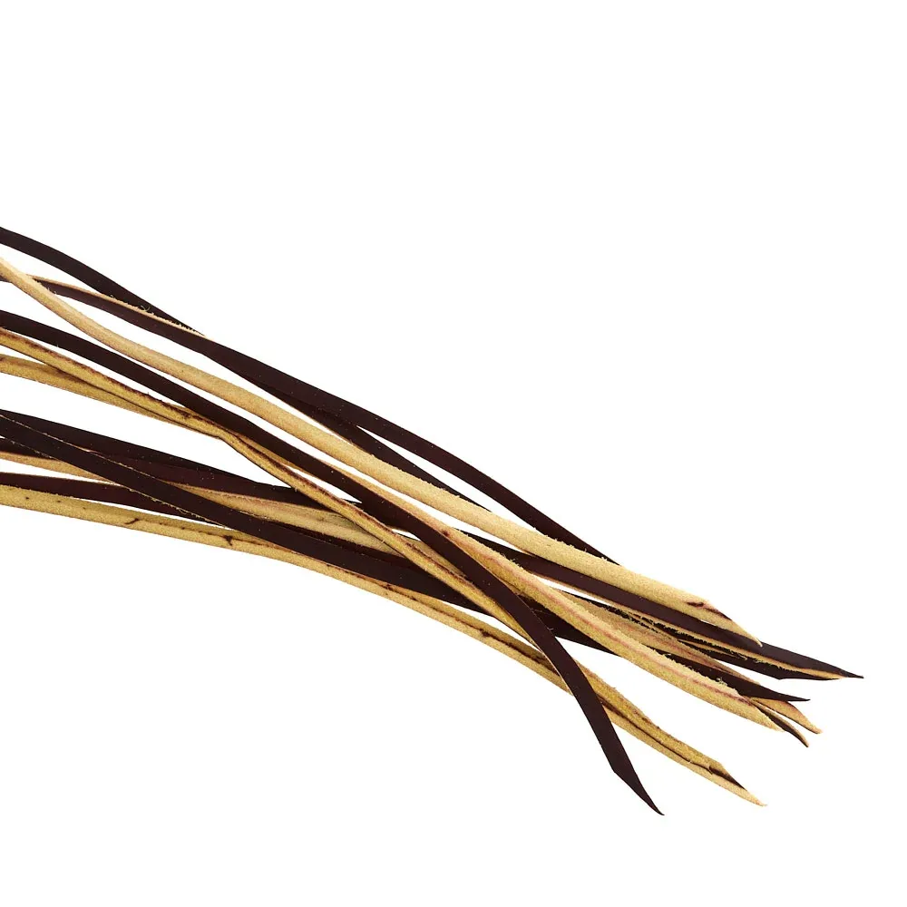 NRS Tack 12 Pack 1/4in x 1/2in Indian Tan Tie End Replacement Strings