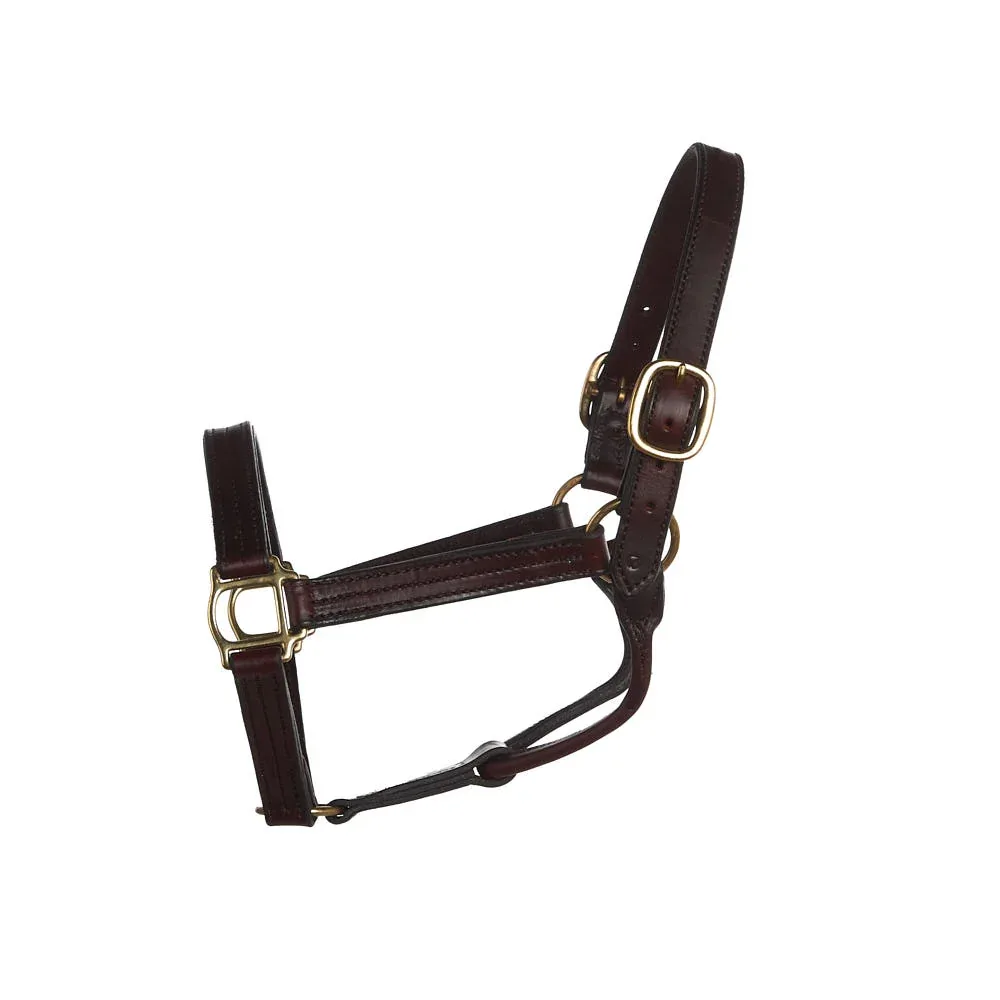 NRS Tack Triple Stitched 1 1/8in Track Halter w/ Fixed Chin - Image 2