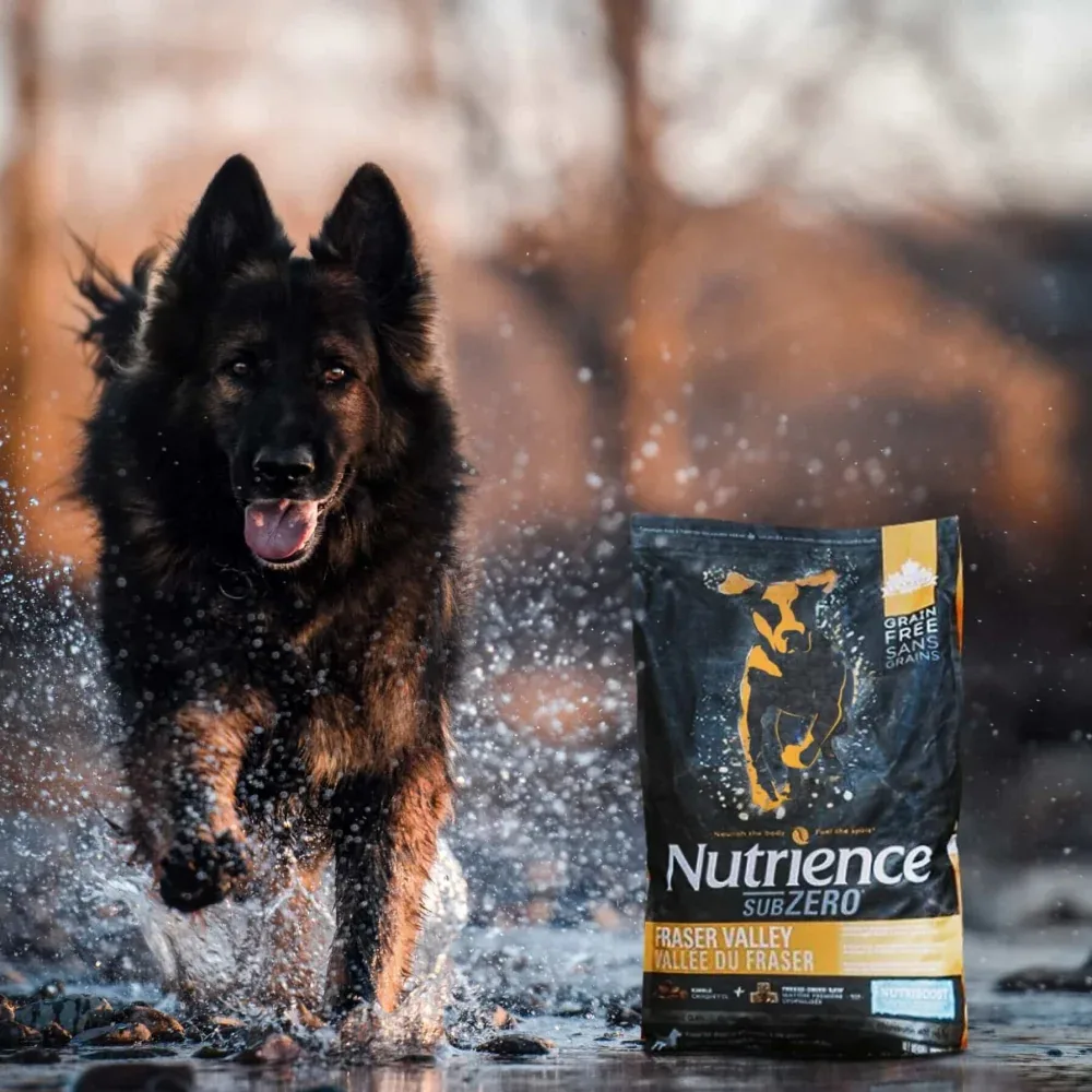Nutrience SubZero Fraser Valley High Protien Dog Dry Food - Image 2