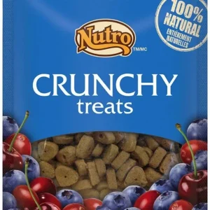 Nutro Crunchy Mixed Berry Dog Treat 10oz
